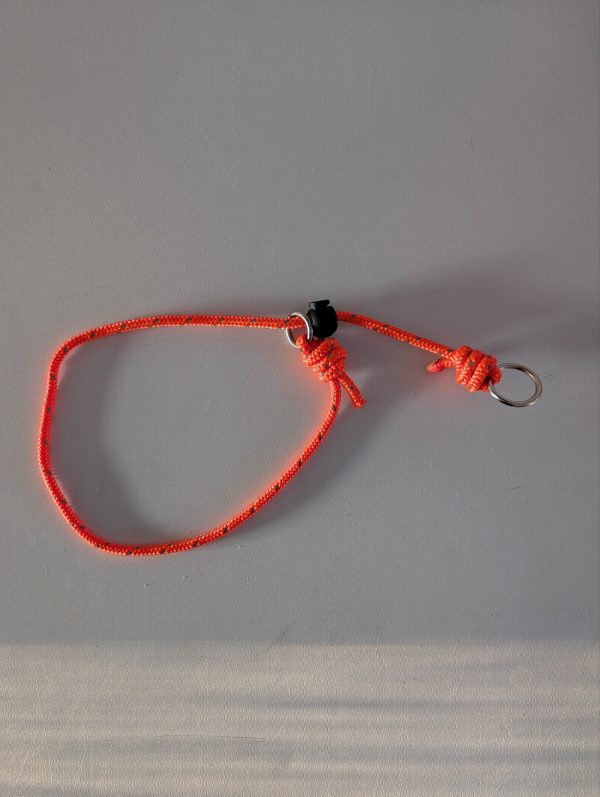 Control collar - Image 2