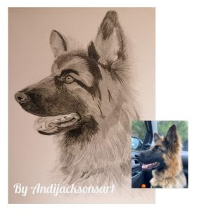 Pet portraits made