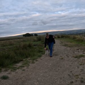 Competitive obedience training step by step