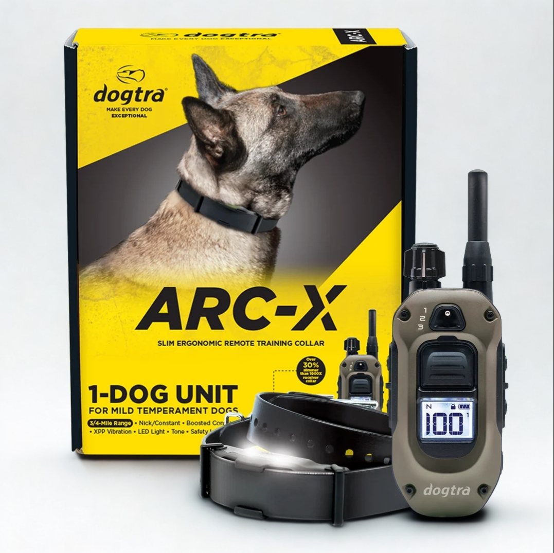 E-collar training