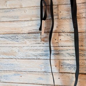 Large dog webbed lead