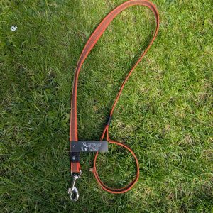 Dog lead