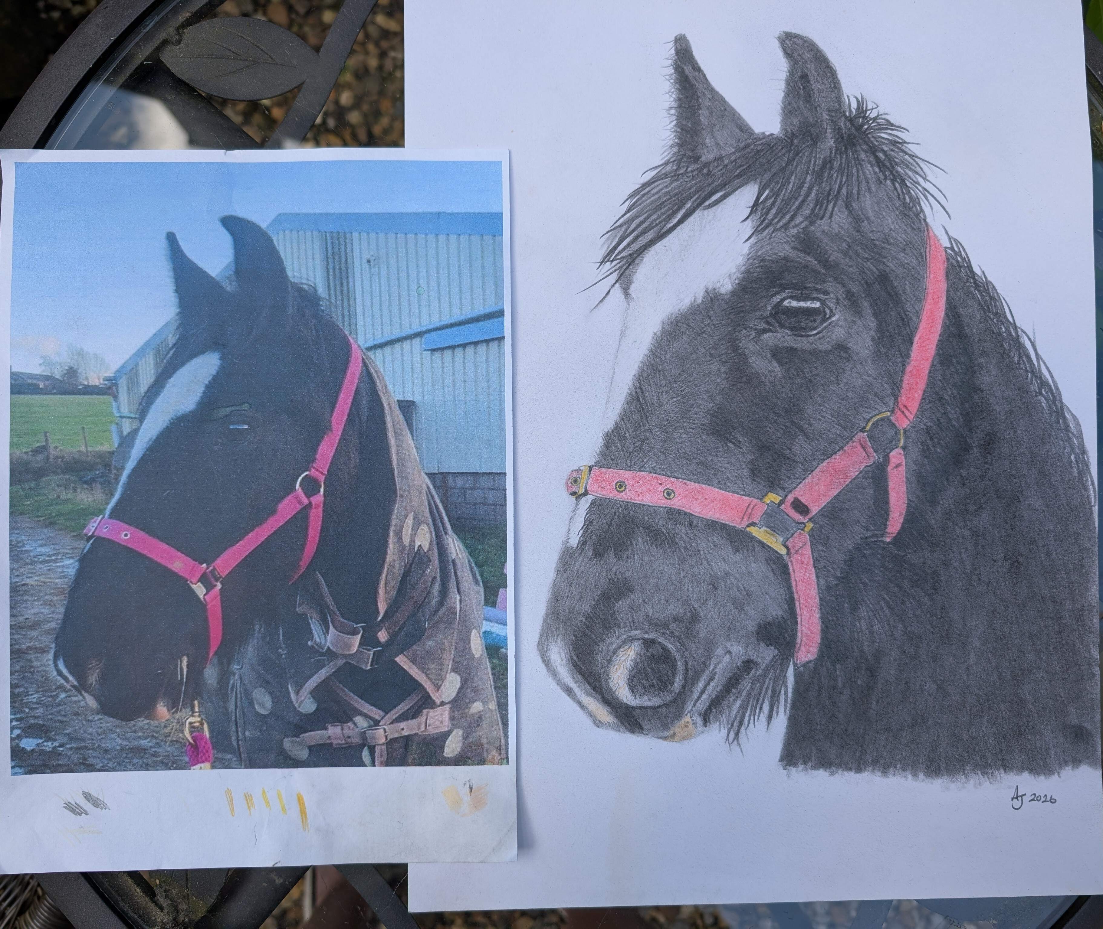 Pet portraits made - Image 17