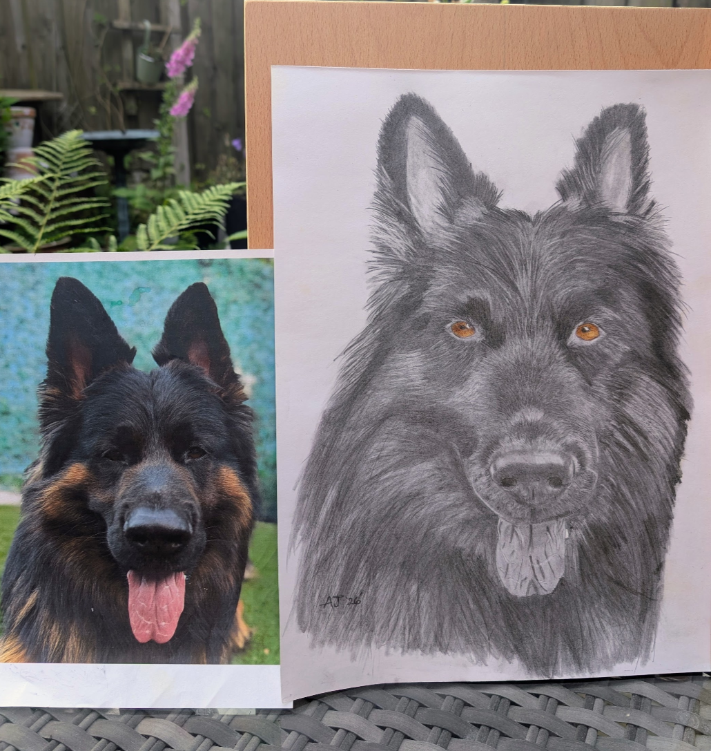 Pet portraits made - Image 18