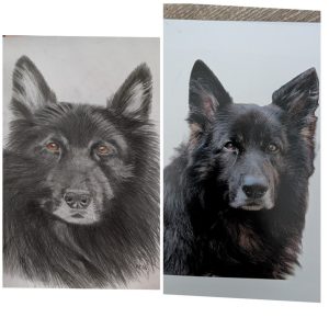 Pet portraits made